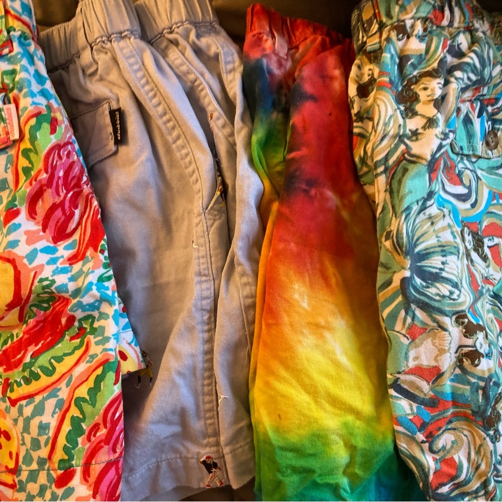 L Chubbies 5.5” inseam shorts bundle - 4 pairs